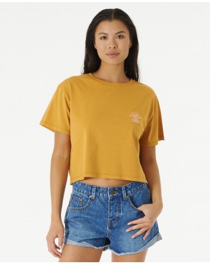 SEARCH ICON CROP TEE - GOLD