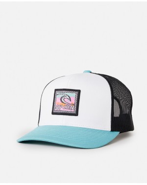 CUSTOM CURVE TRUCKER - BLUE...