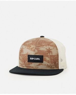 COMBO TRUCKER - GOLD