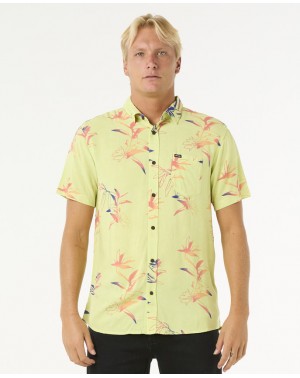 FUN TIMES SS SHIRT - LIME WASH
