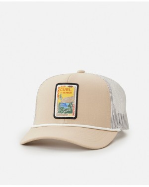 ARTIST OF SEARCH TRUCKER -...