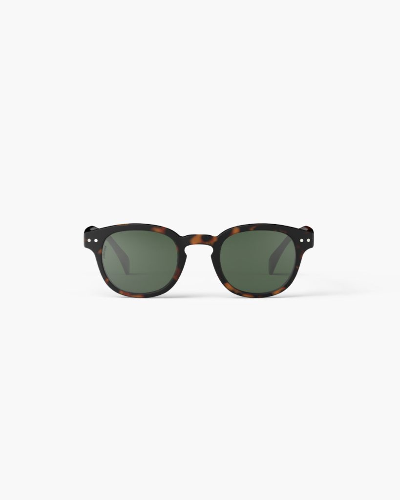 Sun C Tortoise Polarized