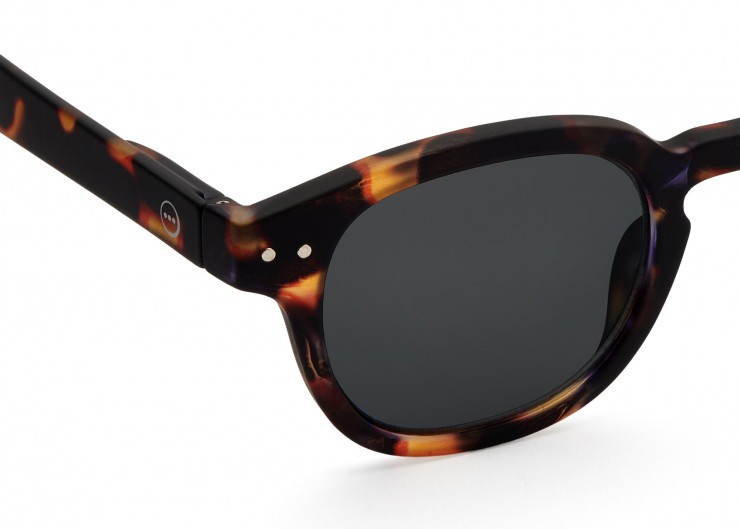 Sun C Tortoise