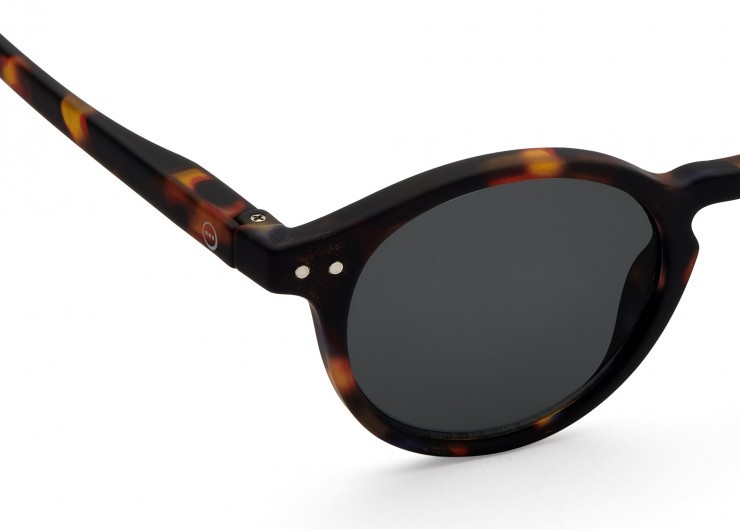 Sun H Tortoise