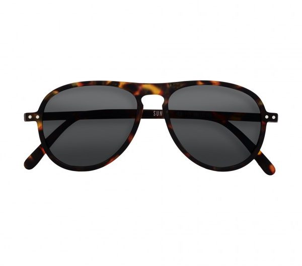 Sun I Tortoise