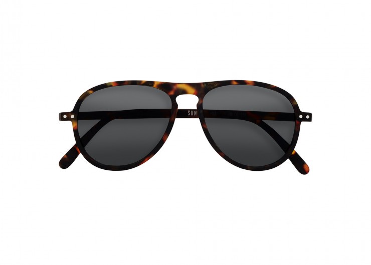 Sun I Tortoise