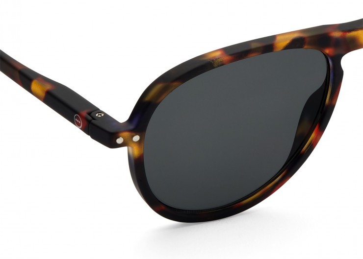 Sun I Tortoise
