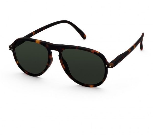 Sun I Tortoise Green Lenses - vue alternative