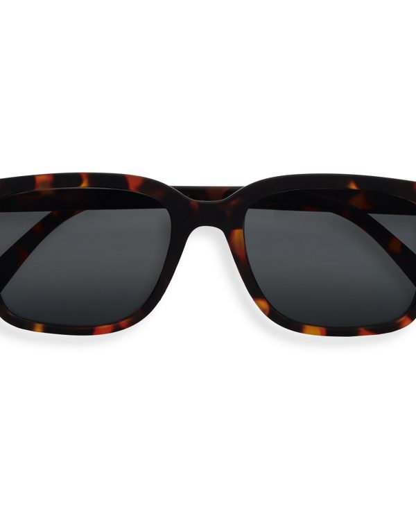 Sun L Tortoise