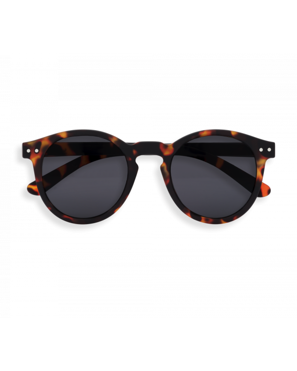 M Sun Tortoise