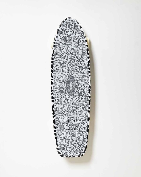 Anemone 34.5&Prime; Pukas x Yow Surfskate - vue alternative